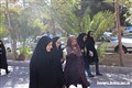 همایش پیاده روی در مرکز بهداشت شهرستان کرمان